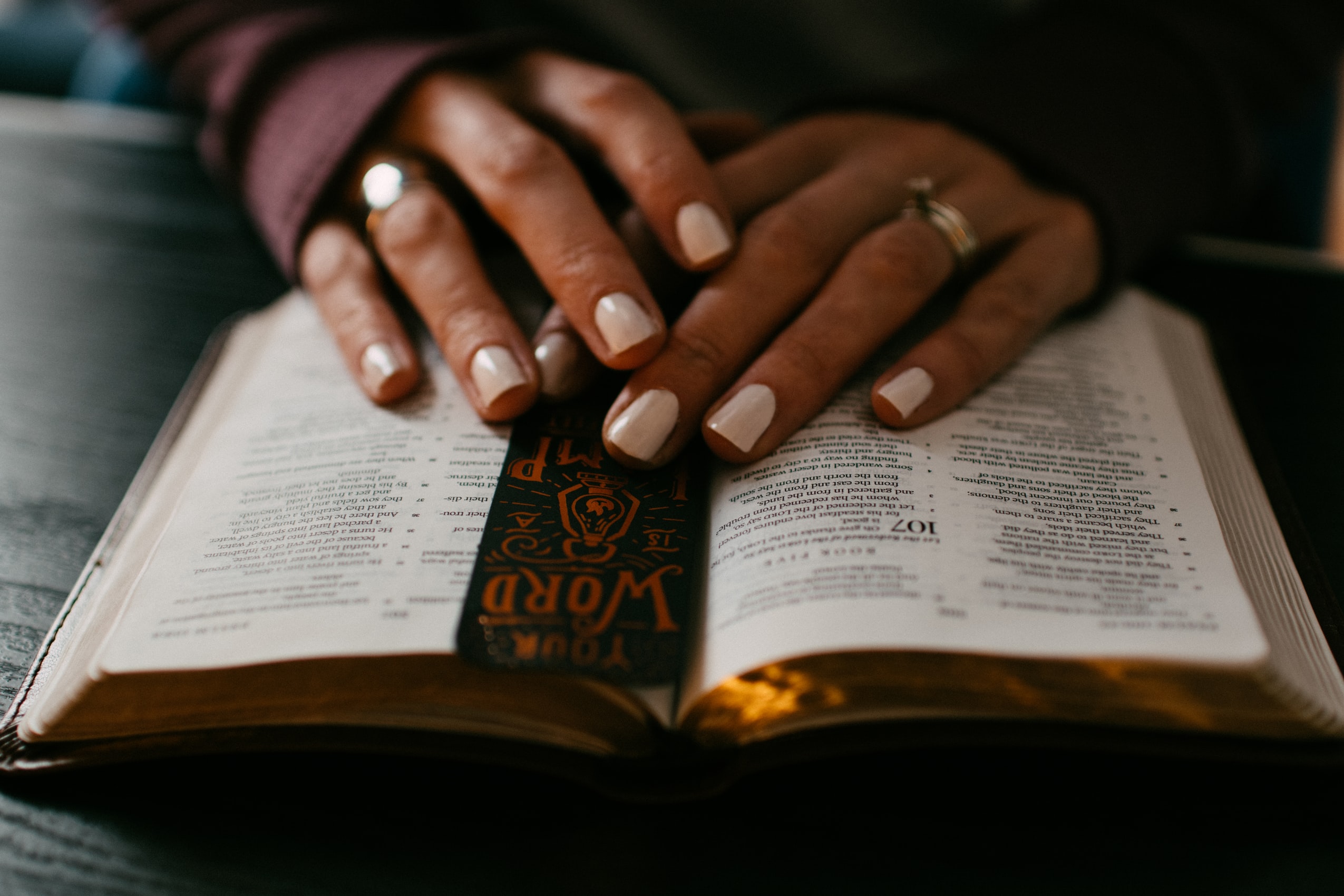 How to Delight in God’s Word