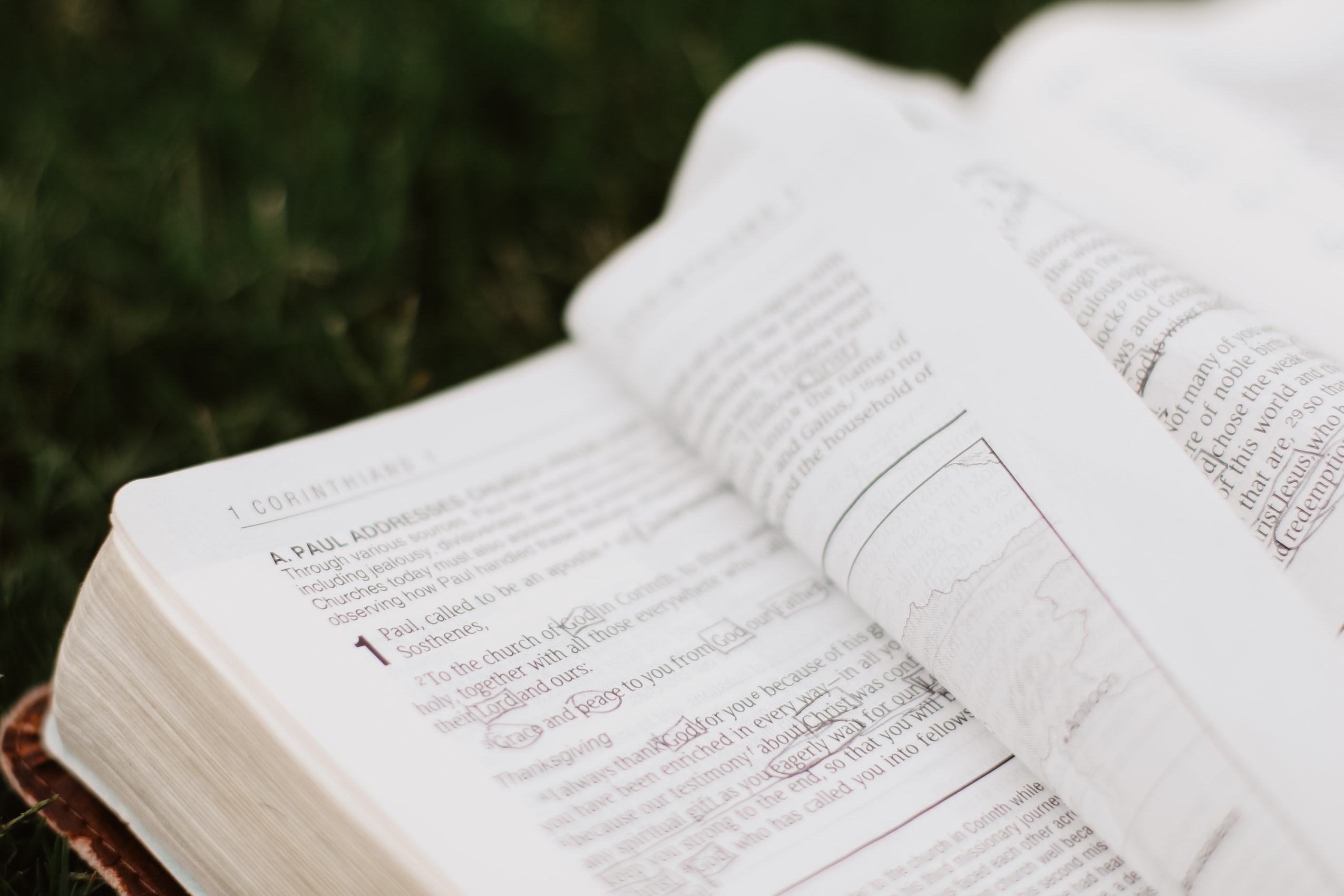 An Untraditional Bible Reading Plan