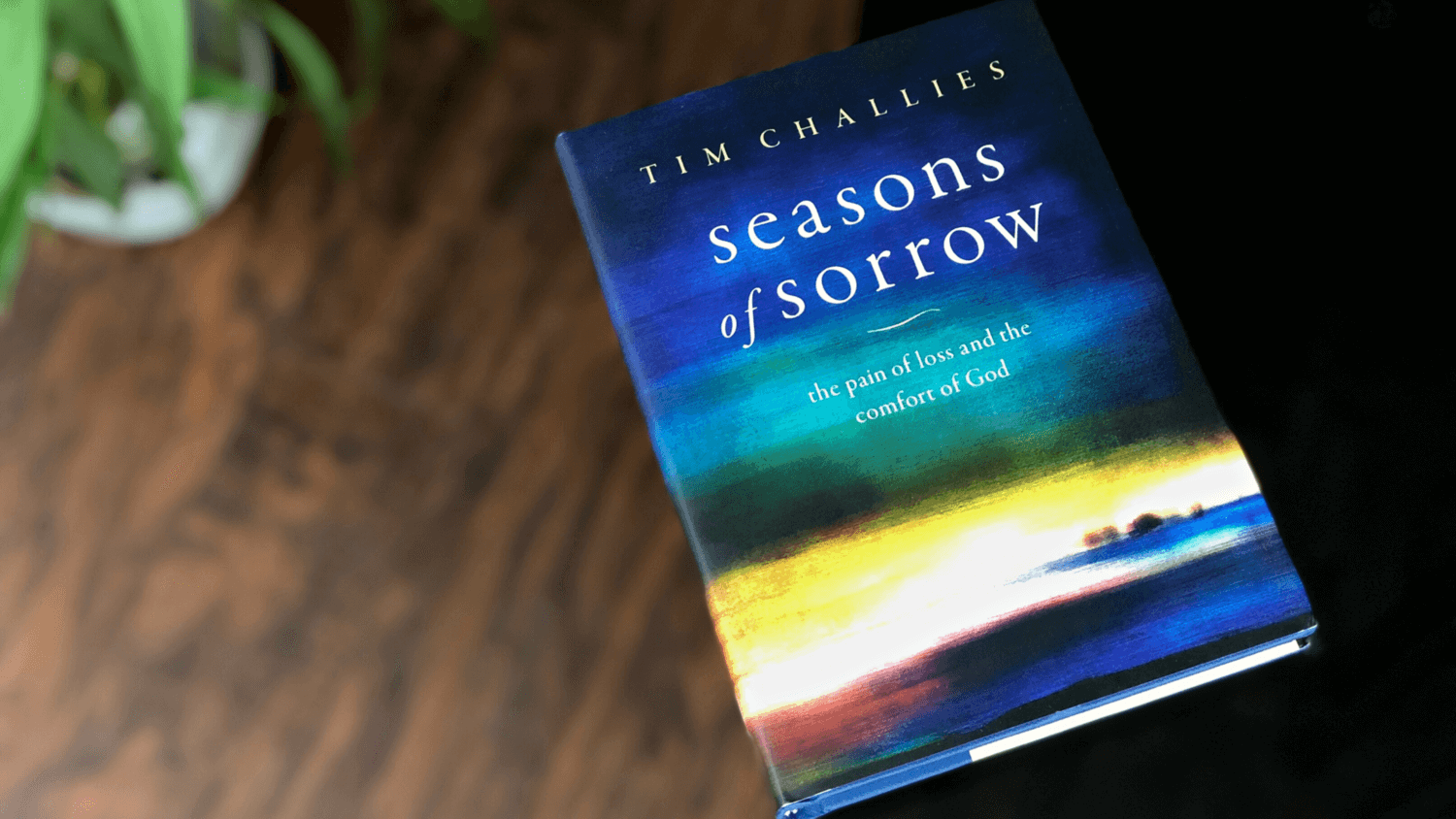 Morgenøvelser bøf i dag Everlasting Joy: A Book Review of “Seasons of Sorrow” - SOLA Network