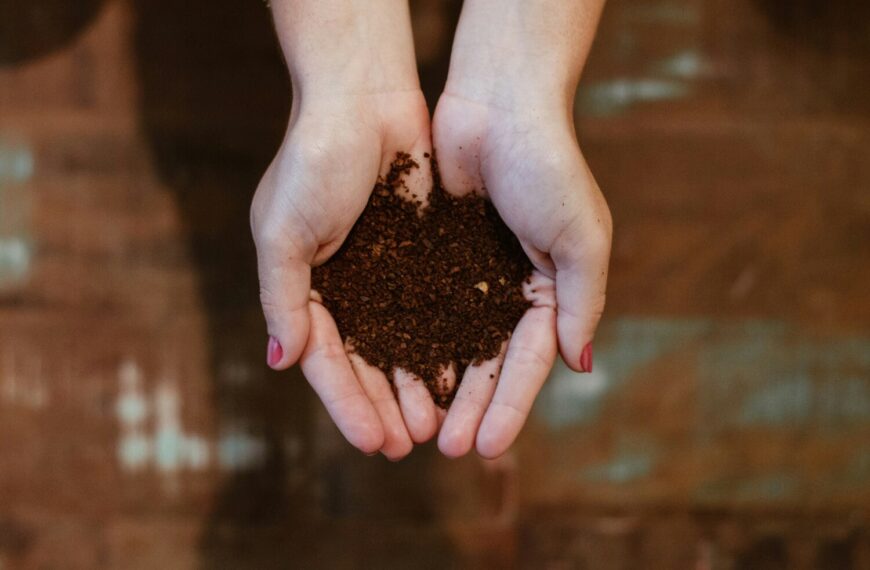 Composting: Feeding the Imagination of the Theologian