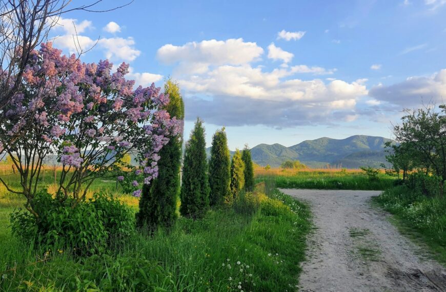 TGIF: Roundup for May 9, 2025