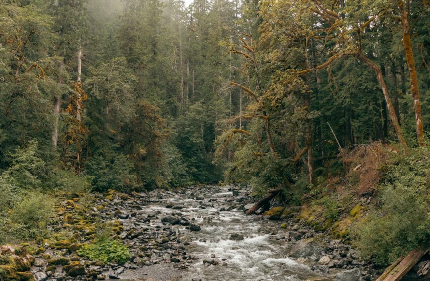 TGIF: Roundup for November 7, 2025