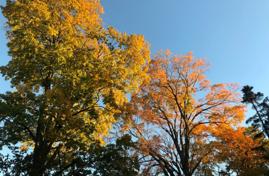 TGIF: Roundup for November 21, 2025